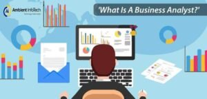 ROLES AND RESPONSIBILITIES OF A BUSINESS ANALYST